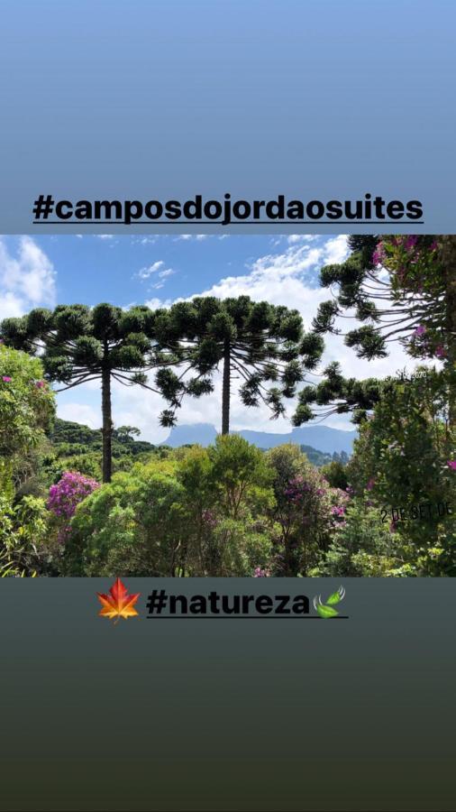 Campos Do Jordao Suites * Campos do Jordao